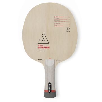 Joola BASEline OFF 1.jpg