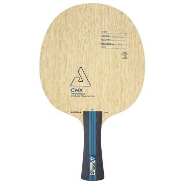 Joola Chen Weixing Defender.jpg