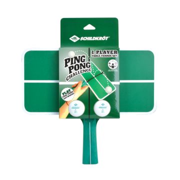 Schildkröt Ping Pong Challange - 1.jpg