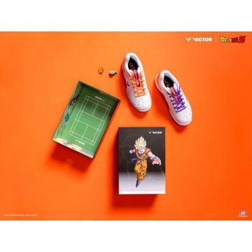 Schuh mit Box.jpg