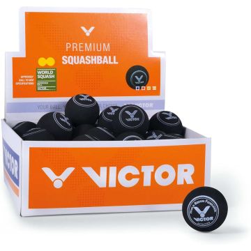 Victor Squashball DYD 36er.jpg